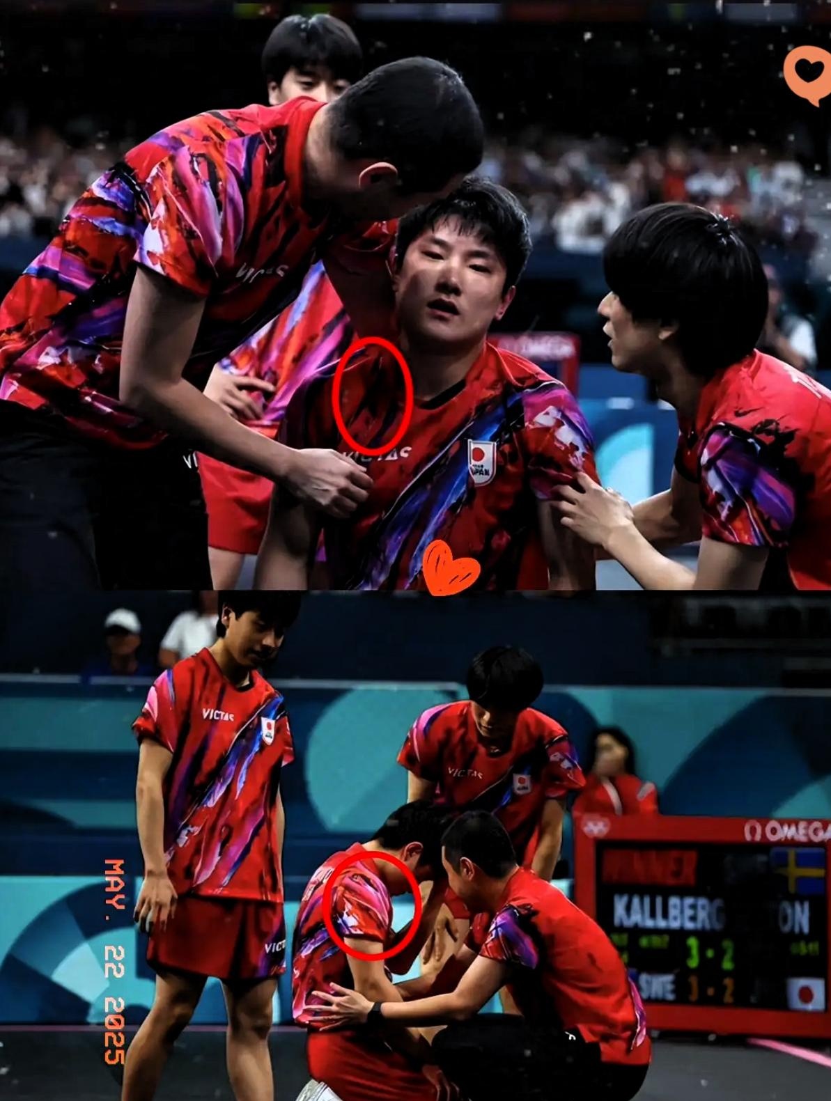 日本乒乓球队翻盘韩国乒乓球队，张本智和制霸全场的简单介绍