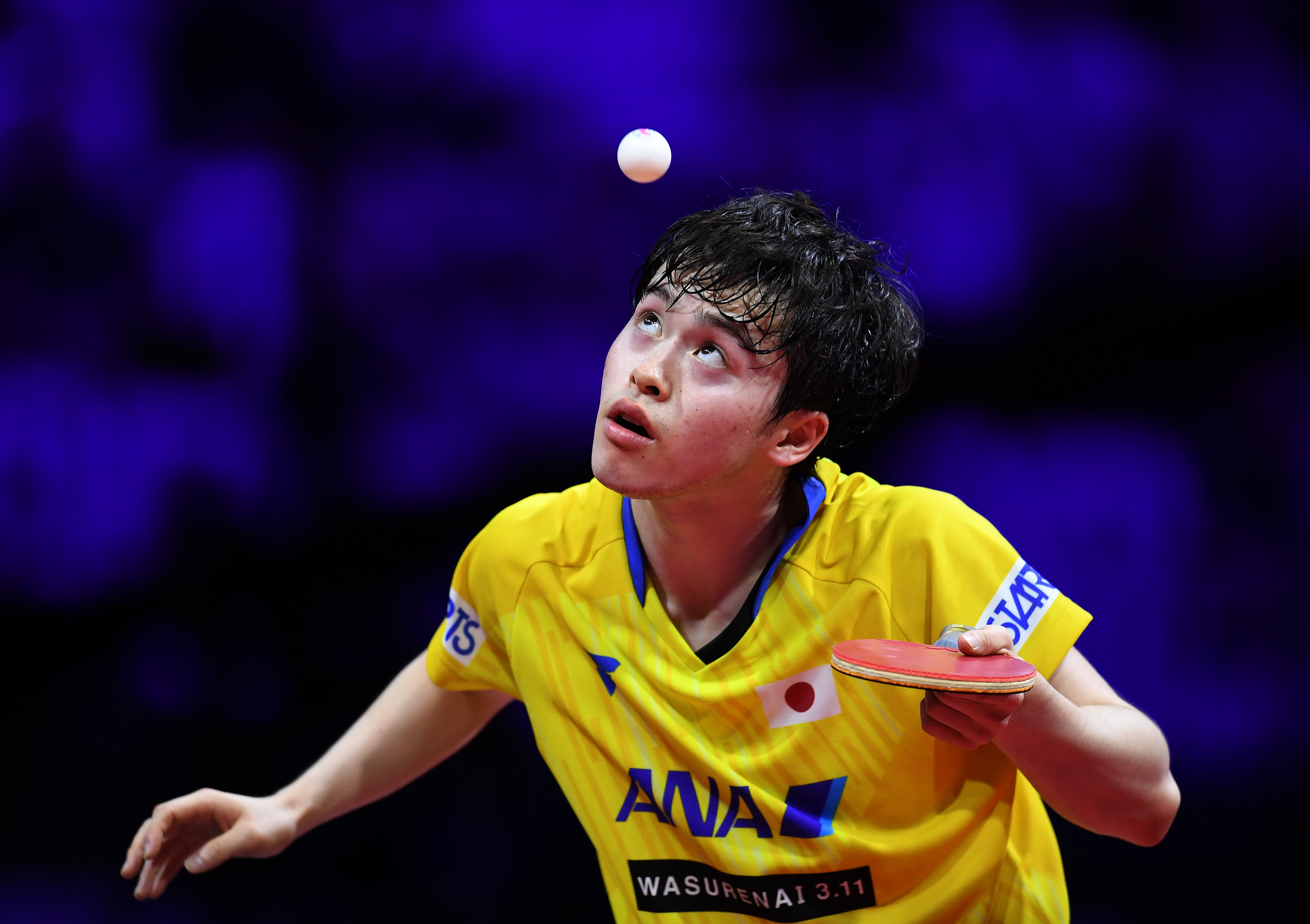 英国乒乓球队横扫比利时乒乓球队,波尔惊艳世界的简单介绍 英国乒乓球队横扫比利时乒乓球队,波尔惊艳世界的简单介绍