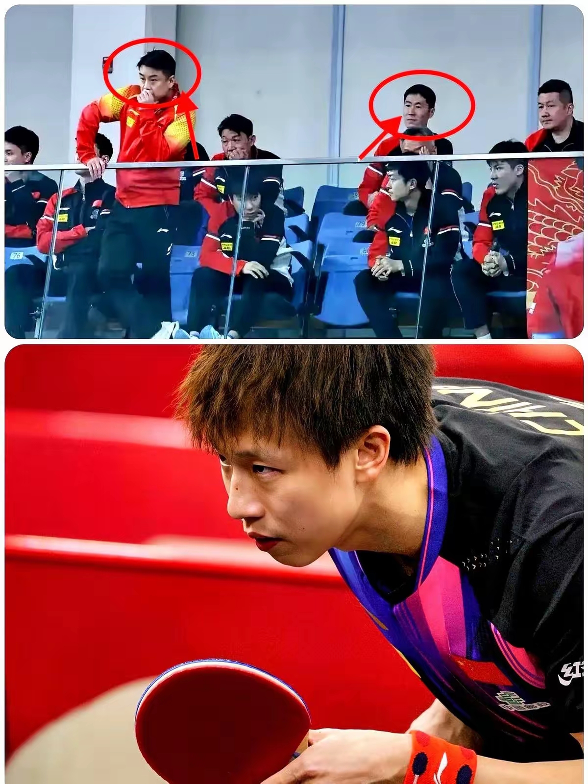 关于瑞典乒乓球队逆转德国乒乓球队，王皓一己之力扛起全队的信息