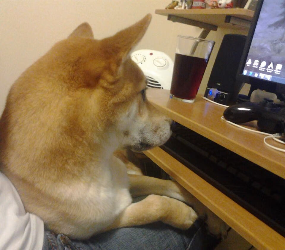 前所未见，从美网心碎到年终加冕，兹维列夫完成历史性逆转