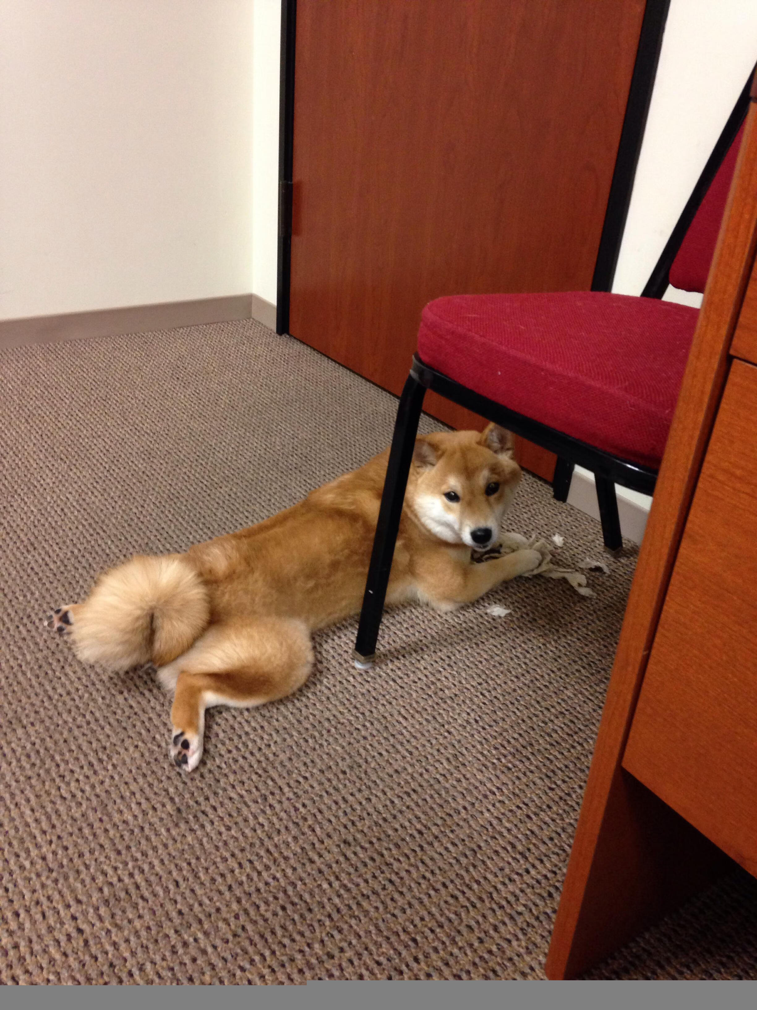 亚洲新王降临!泰国风暴横扫德国,辛杜一球封神惊艳世界