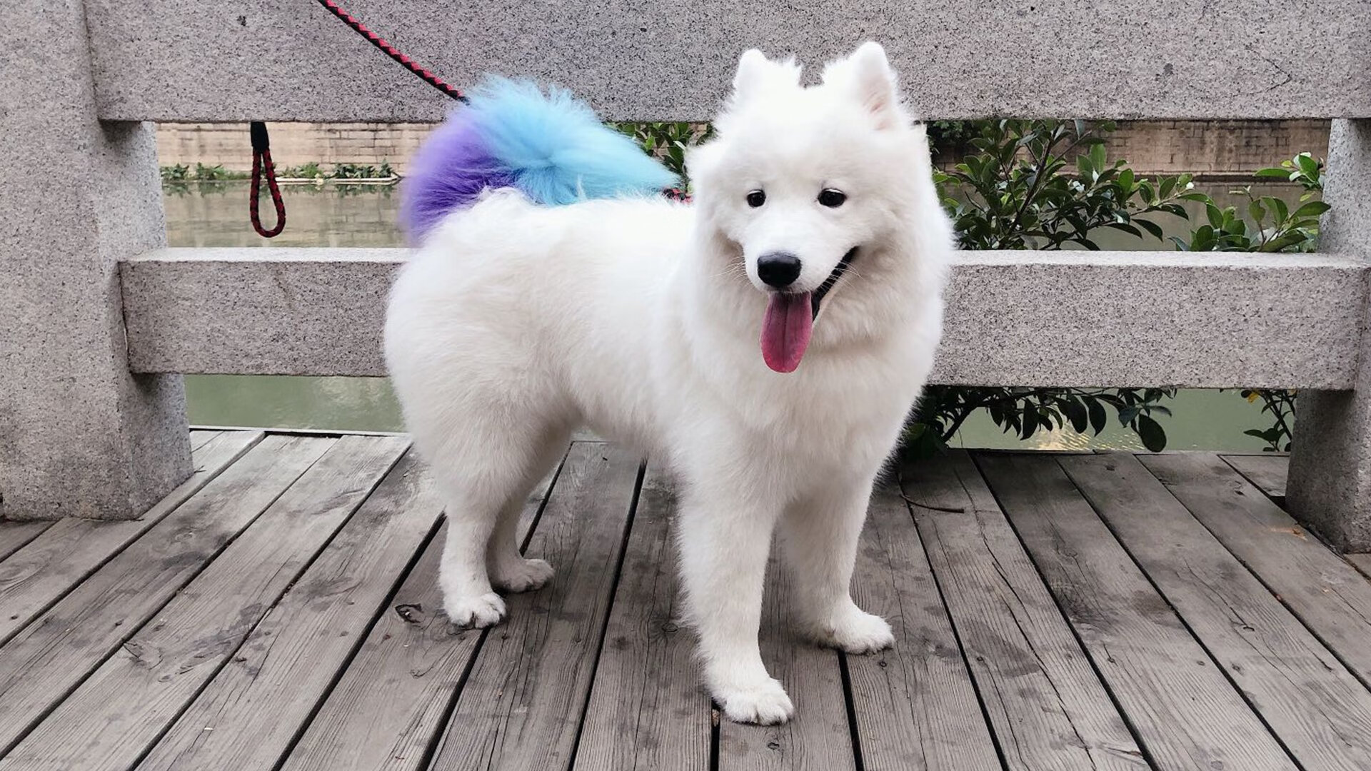 姆巴佩撕裂防线，塞内加尔筑起叹息之墙，乌拉圭巨星黯然退场