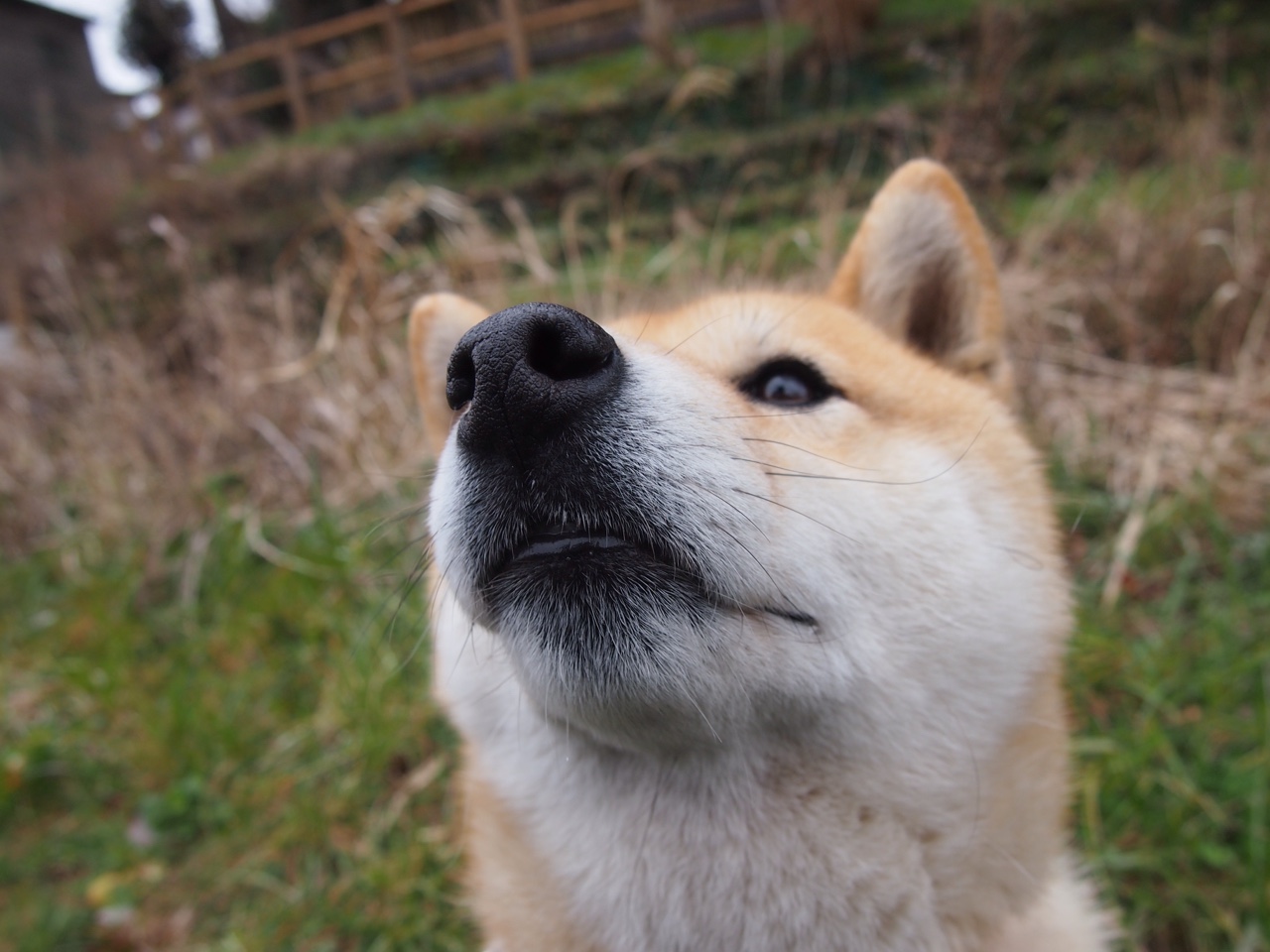 当篮球的禅意淹没赛场，克莱的归位与深圳的澄明