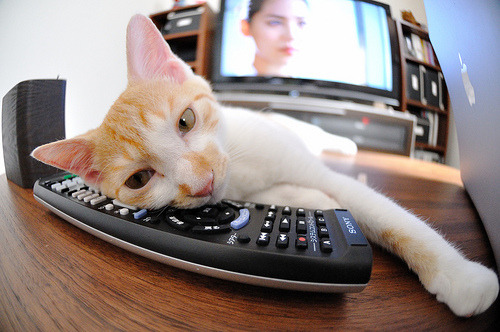 天山雪豹对决北境龙王,一场横跨两万里的篮球对话