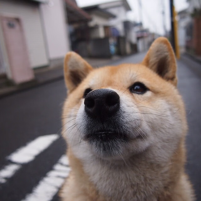 从巴黎到伊斯坦布尔，当赖斯成为曼联的欧冠之钥