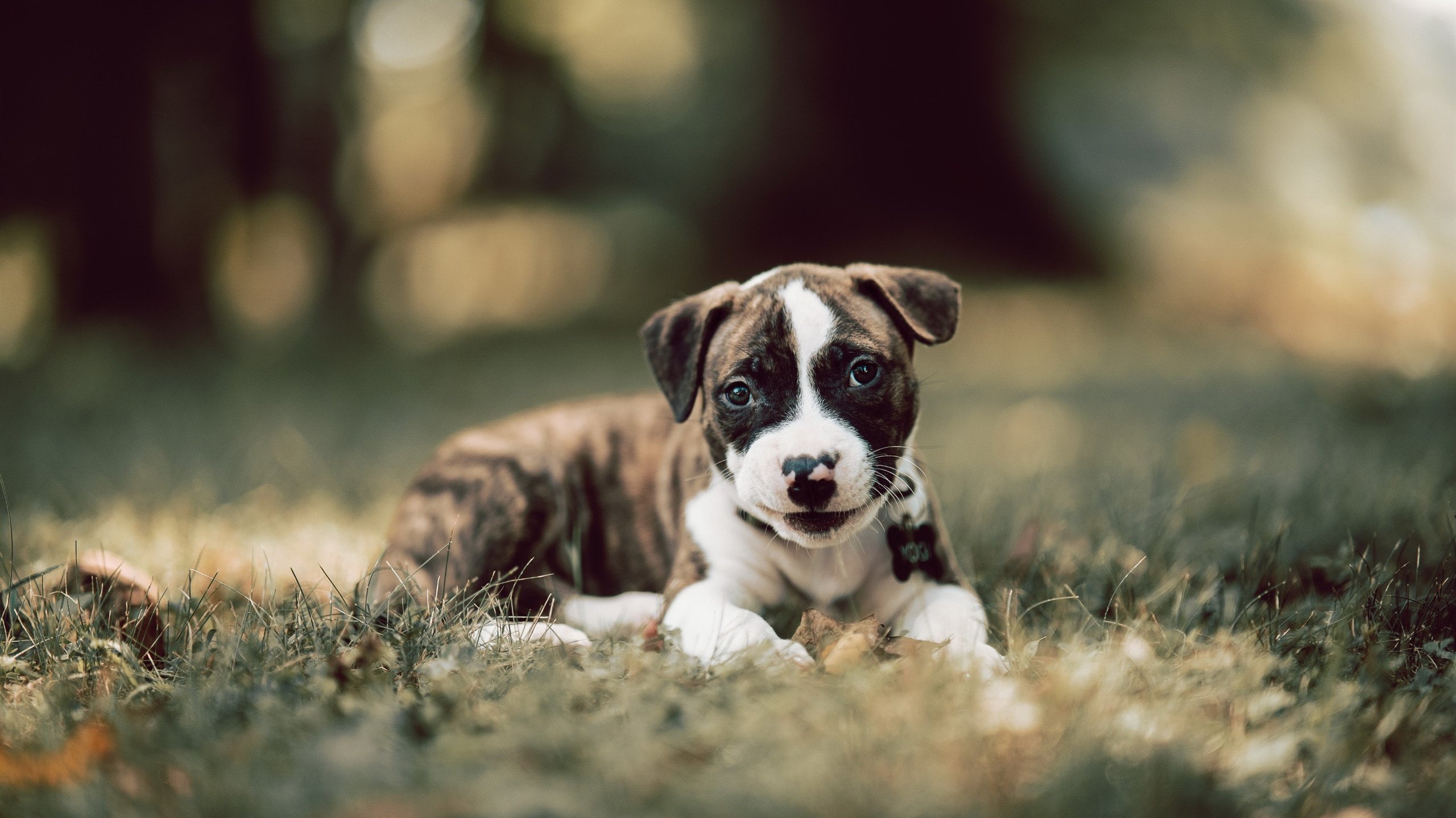 数据不会说谎，当快船与魔术鏖战之际，马克西的52分爆发说明了什么？