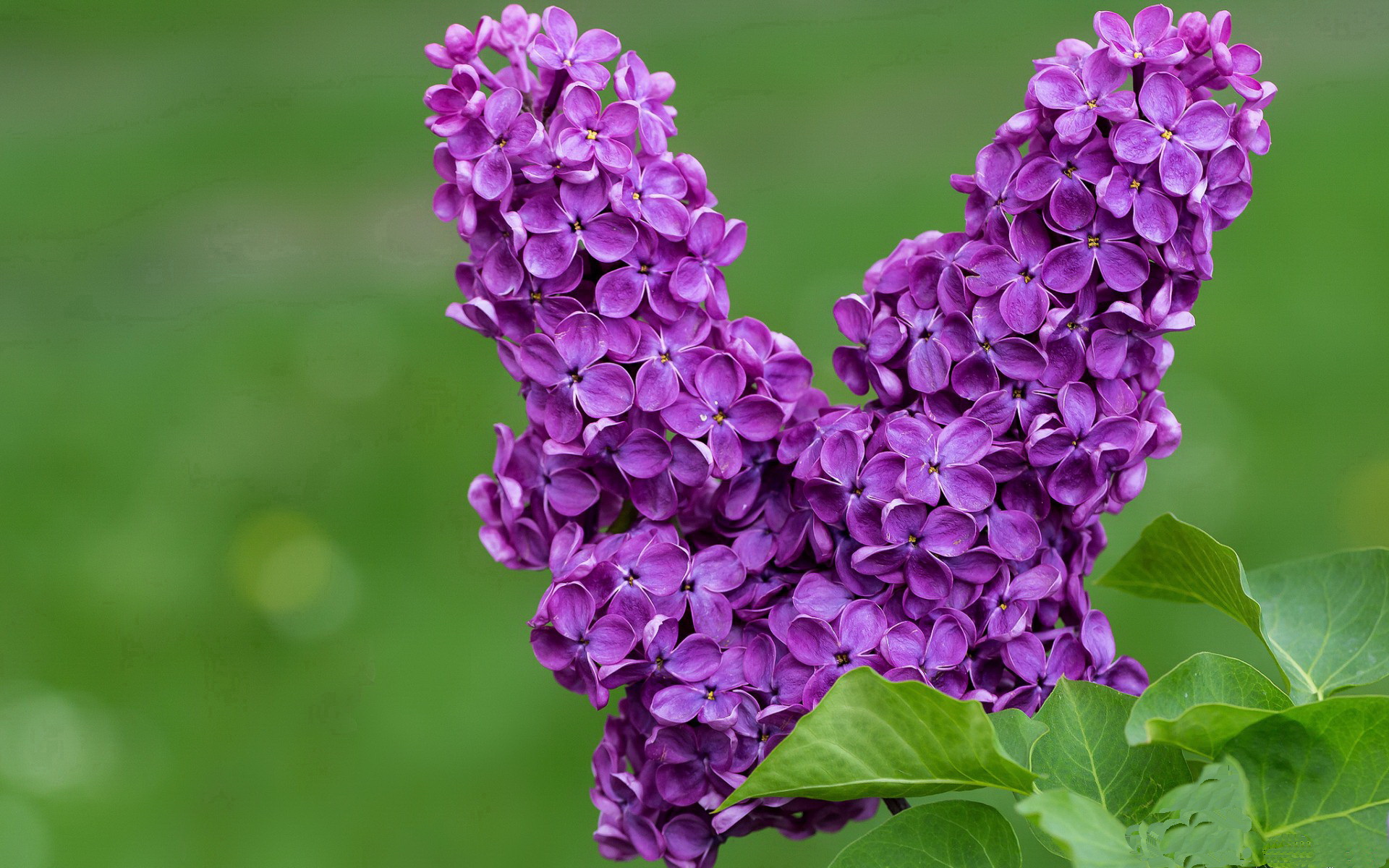 十年一瞬，双城记，当太阳在上海之巅陨落，克莱于金州风暴中重生