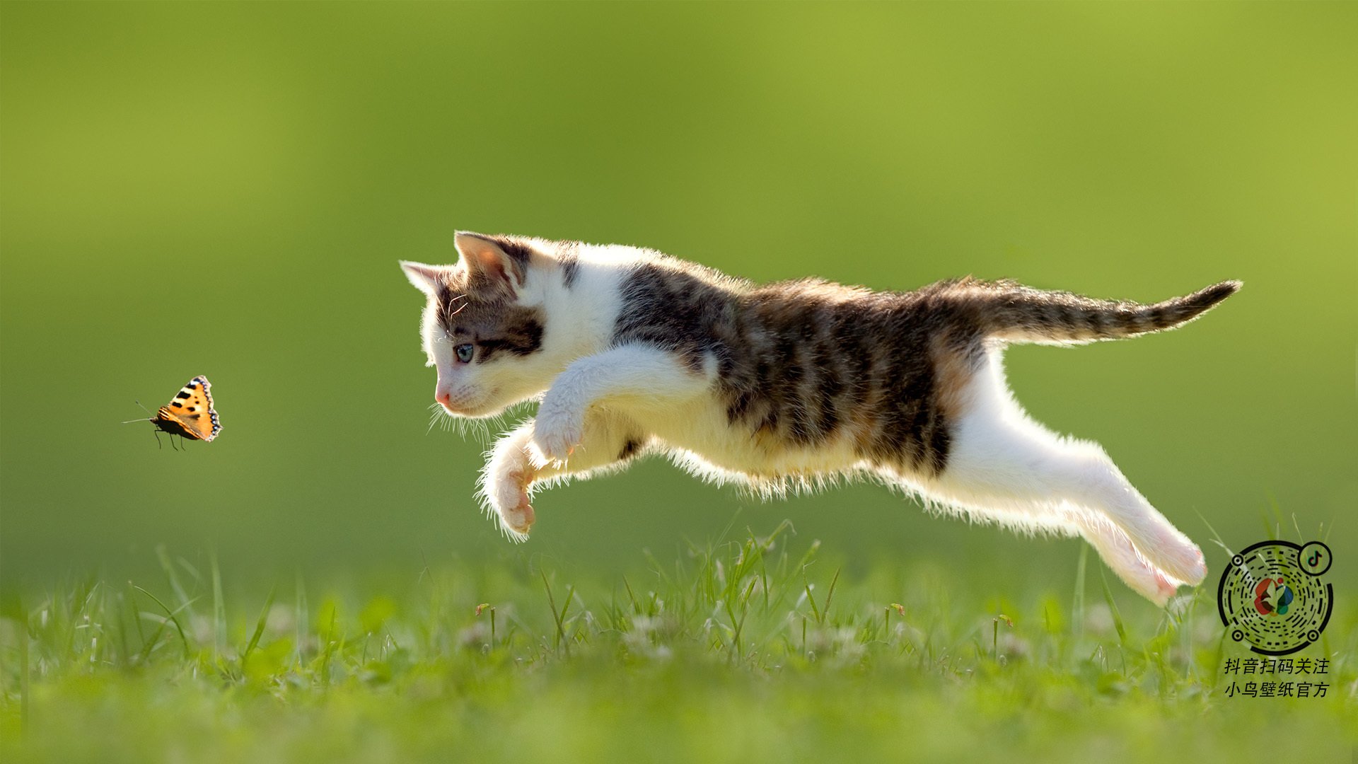 暗流与利刃，法比尼奥如何以沉默的杀伤主宰意甲焦点之夜