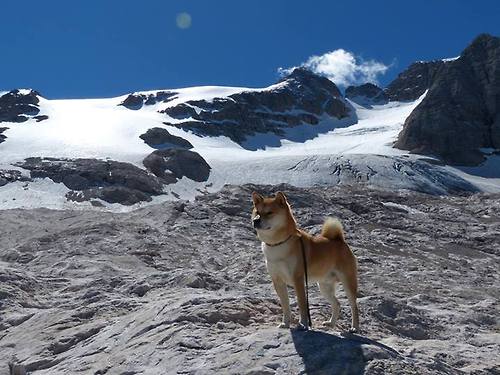 唯一性的见证，季后赛抢七焦点战，埃及正面击溃冰岛史诗