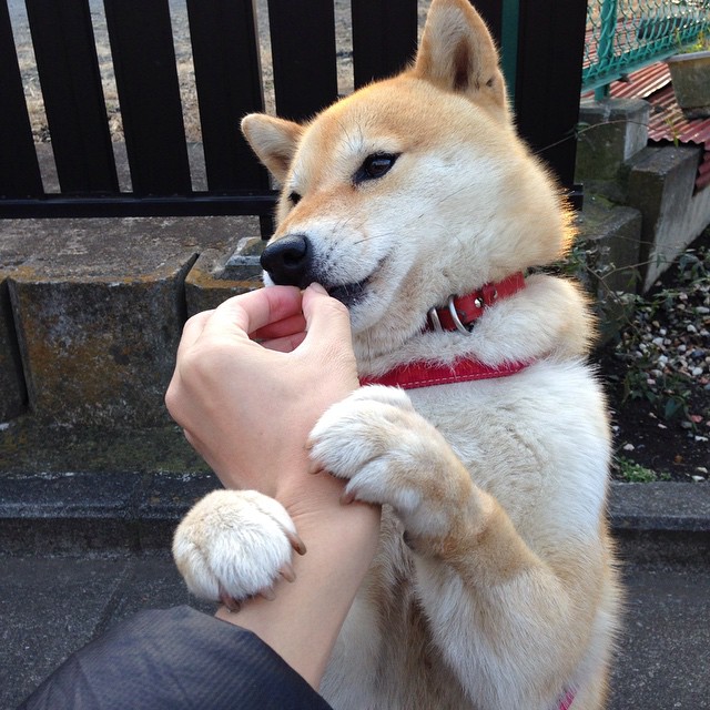 东方风暴席卷新奥尔良！哈登末节导演逆转，北京队攻克鹈鹕主场