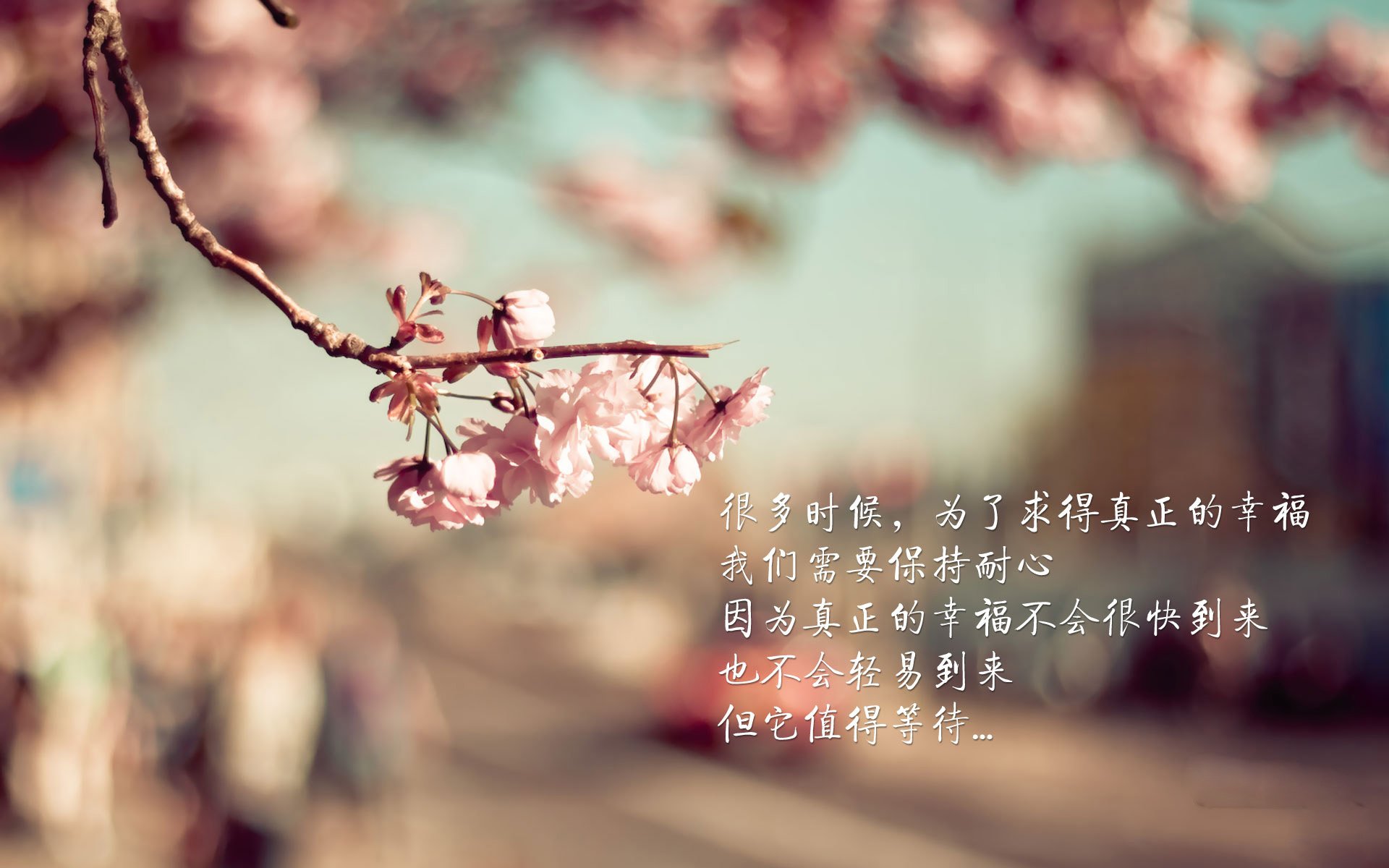 天意回响,2026世界杯,莱万独舞改写历史,印度逆转巴西书写绿茵新神话
