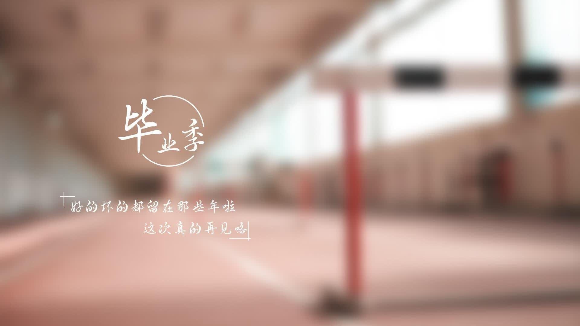 绝杀之夜,战术之巅,2026世界杯E组加纳2-1波兰,努涅斯光芒下的奇迹逆转